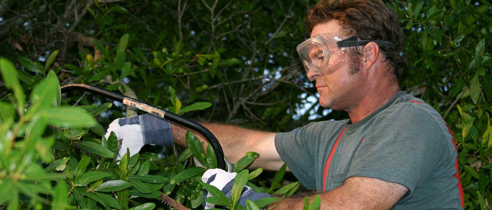 garden clearance NW2