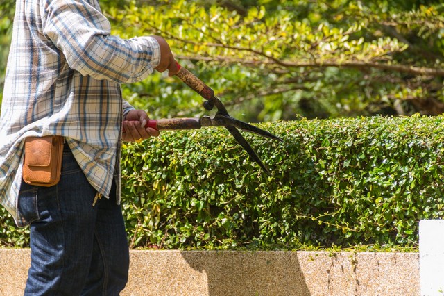 Garden Maintenance Cricklewood, NW2
